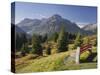 Austria, Vorarlberg (Region), Lechtal Alps, Omeshorn, Alpine Grassland, Bank-Rainer Mirau-Stretched Canvas