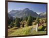 Austria, Vorarlberg (Region), Lechtal Alps, Omeshorn, Alpine Grassland, Bank-Rainer Mirau-Framed Photographic Print