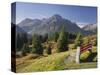 Austria, Vorarlberg (Region), Lechtal Alps, Omeshorn, Alpine Grassland, Bank-Rainer Mirau-Stretched Canvas