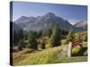 Austria, Vorarlberg (Region), Lechtal Alps, Omeshorn, Alpine Grassland, Bank-Rainer Mirau-Stretched Canvas