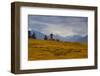 Austria, Walder Alp, Autumn Mood,-Ludwig Mallaun-Framed Photographic Print