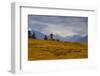 Austria, Walder Alp, Autumn Mood,-Ludwig Mallaun-Framed Photographic Print