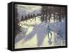 Austrian Alps, 2004-Andrew Macara-Framed Stretched Canvas