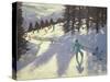 Austrian Alps, 2004-Andrew Macara-Stretched Canvas