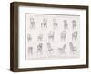 Austrian Bentwood Chairs from Hampton and Sons Catalogue of Furniture, c.1902-null-Framed Giclee Print