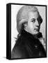 Austrian Composer Wolfgang Amadeus Mozart-null-Framed Stretched Canvas