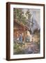 Brown Frame
