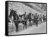 Austrian Soldiers, Austro-Italian War, Battle of the Isonzo, World War I, 1915-null-Framed Stretched Canvas