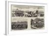 Austro-Prussian War-null-Framed Giclee Print