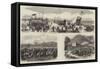 Austro-Prussian War-null-Framed Stretched Canvas