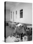 Author Ernest Hemingway in a Local Cafe-Alfred Eisenstaedt-Stretched Canvas