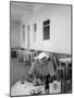 Author Ernest Hemingway in a Local Cafe-Alfred Eisenstaedt-Mounted Premium Photographic Print