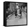 Author Gertrude Stein Walking with Alice B. Toklas and Their Dog-Carl Mydans-Framed Stretched Canvas