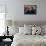 Author Harold Bloom at Home in His Apartment-Ted Thai-Framed Stretched Canvas displayed on a wall