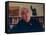 Author Harold Bloom at Home in His Apartment-Ted Thai-Framed Stretched Canvas