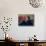 Author Harold Bloom at Home in His Apartment-Ted Thai-Stretched Canvas displayed on a wall