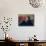 Author Harold Bloom at Home in His Apartment-Ted Thai-Premium Photographic Print displayed on a wall