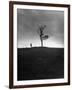 Author Marion L. Starkey, Studying the Outskirts of Gallows Hill-Nina Leen-Framed Photographic Print