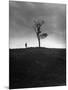 Author Marion L. Starkey, Studying the Outskirts of Gallows Hill-Nina Leen-Mounted Photographic Print