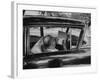 Author Vladimir Nabokov at Work, Writing on Index Cards in His Car-Carl Mydans-Framed Premium Photographic Print