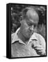 Author Vladimir Nabokov Looking at a Butterfly-Carl Mydans-Framed Stretched Canvas