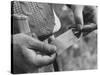 Author Vladimir Nabokov Putting a Butterfly into an Envelope-Carl Mydans-Stretched Canvas