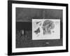 Author Vladimir Nabokov's Doodlings-Carl Mydans-Framed Photographic Print