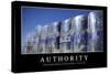 Authority: Inspirational Quote and Motivational Poster-null-Stretched Canvas