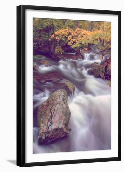 Autmn at Kaaterskill Creek, Catskill Mountains, New York-Vincent James-Framed Premium Photographic Print