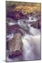 Autmn at Kaaterskill Creek, Catskill Mountains, New York-Vincent James-Mounted Photographic Print