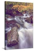 Autmn at Kaaterskill Creek, Catskill Mountains, New York-Vincent James-Stretched Canvas