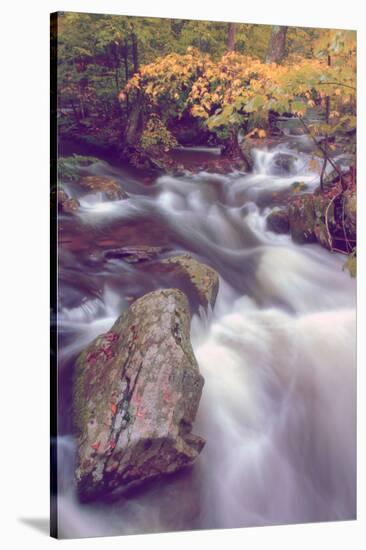 Autmn at Kaaterskill Creek, Catskill Mountains, New York-Vincent James-Stretched Canvas