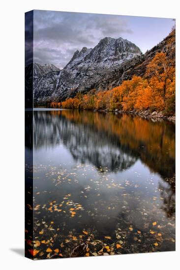 Autmn Reflections at Silver Lake, June Lake, Eastern Sierras California-Vincent James-Stretched Canvas