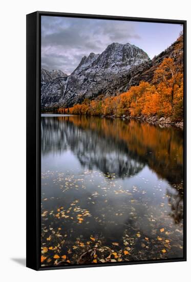 Autmn Reflections at Silver Lake, June Lake, Eastern Sierras California-Vincent James-Framed Stretched Canvas