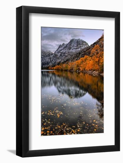 Autmn Reflections at Silver Lake, June Lake, Eastern Sierras California-Vincent James-Framed Photographic Print