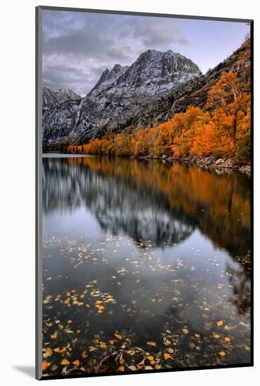 Autmn Reflections at Silver Lake, June Lake, Eastern Sierras California-Vincent James-Mounted Photographic Print