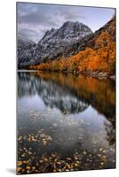 Autmn Reflections at Silver Lake, June Lake, Eastern Sierras California-Vincent James-Mounted Photographic Print
