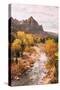 Autmun Virgin River, Zion National Park, Utah-Vincent James-Stretched Canvas