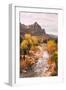 Autmun Virgin River, Zion National Park, Utah-Vincent James-Framed Photographic Print