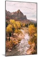 Autmun Virgin River, Zion National Park, Utah-Vincent James-Mounted Photographic Print