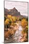 Autmun Virgin River, Zion National Park, Utah-Vincent James-Mounted Photographic Print