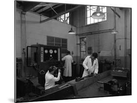 Auto Electricians at Work at Globe and Simpson, Nottingham, Nottinghamshire, 1961-Michael Walters-Mounted Photographic Print