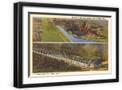 Black Frame