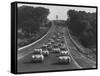 Auto Race-null-Framed Stretched Canvas