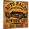 Auto Races New York City Sign-null-Mounted Art Print