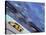 Auto Racing Action-Chris Trotman-Stretched Canvas