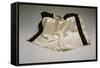 Autographed Fight Trunks from Muhammad Ali's World Championship Fight, 1974-null-Framed Stretched Canvas