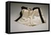 Autographed Fight Trunks from Muhammad Ali's World Championship Fight, 1974-null-Framed Stretched Canvas