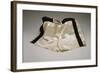 Autographed Fight Trunks from Muhammad Ali's World Championship Fight, 1974-null-Framed Giclee Print