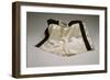 Autographed Fight Trunks from Muhammad Ali's World Championship Fight, 1974-null-Framed Giclee Print